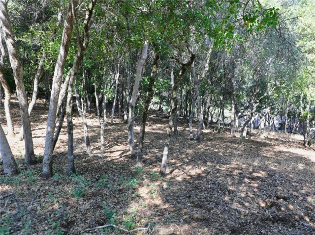 3157 Riviera Heights, Kelseyville, CA 95451