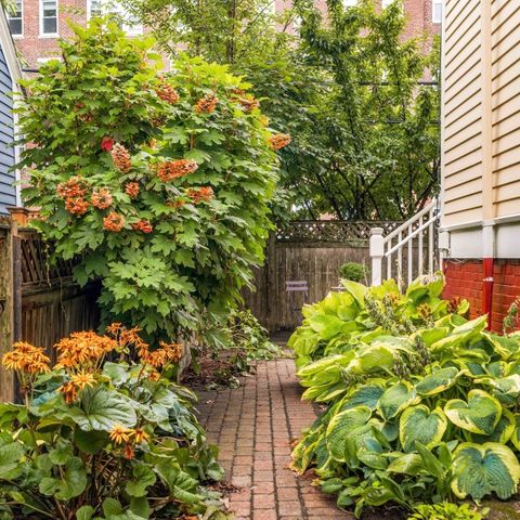 24 Langdon Street 1, Cambridge, MA 02138