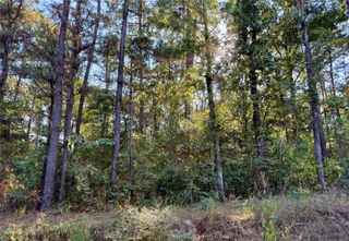 TBD Ole Long Pull Rd Road, Livingston, TX 77351