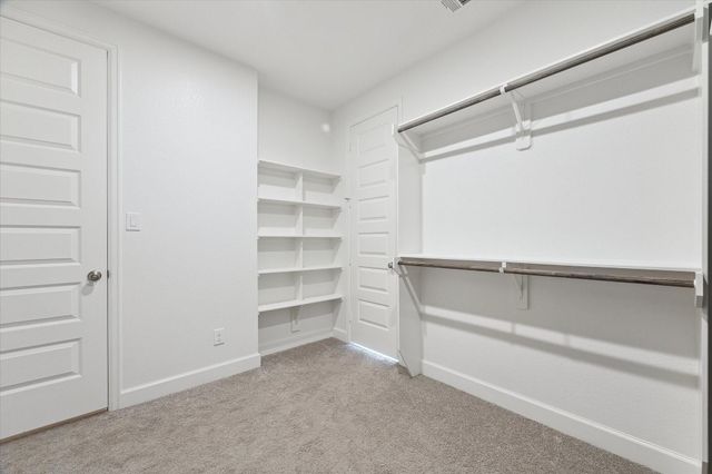 9951 Chapman Trail, Manvel, TX 77578