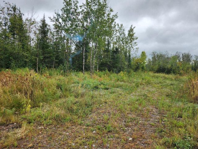 W12289 COUNTY ROAD J, Deerbrook, WI 54424