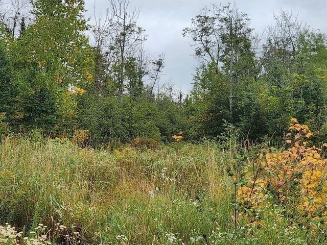 W12289 COUNTY ROAD J, Deerbrook, WI 54424