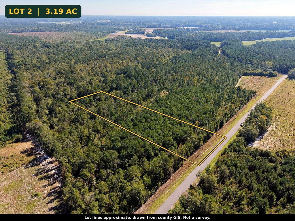 TBD Bellaire Dr., Nichols, SC 29581 — photo 3