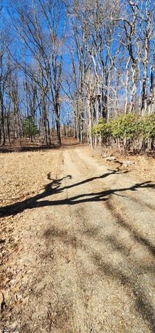 0 Ns Sanatorium Road, Glen Gardner Boro, NJ 08826