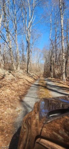 0 Ns Sanatorium Road, Glen Gardner Boro, NJ 08826