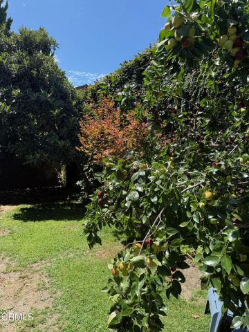 607 W Duarte Road D, Monrovia, CA 91016
