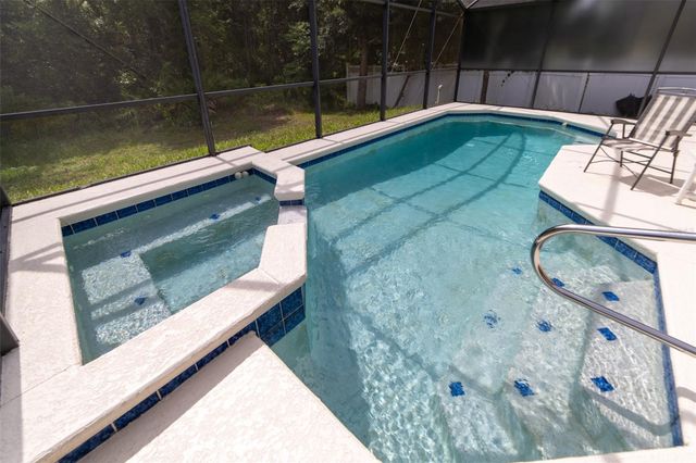 298 HAMMOCK COURT, Davenport, FL 33896