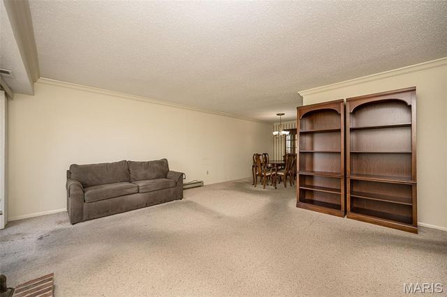 12929 Portulaca Drive 211, St Louis, MO 63146