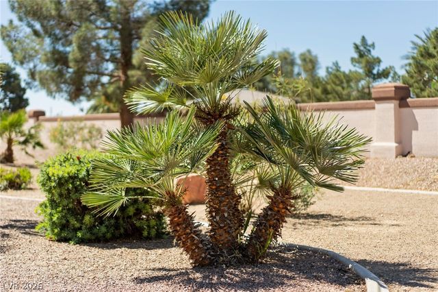 4941 Black Bear Road 204, Las Vegas, NV 89149