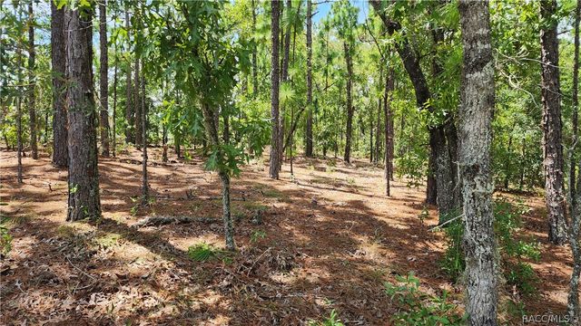 7760 N Pocono Drive, Citrus Springs, FL 34434