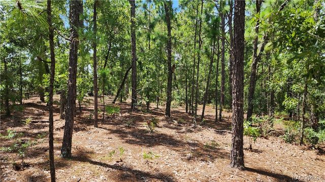 7760 N Pocono Drive, Citrus Springs, FL 34434