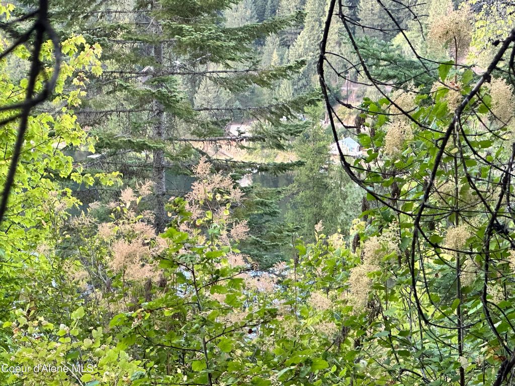 .29 Acres Hinds Dr, St. Maries, ID 83861