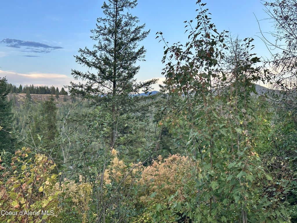 .29 Acres Hinds Dr, St. Maries, ID 83861 photo 3