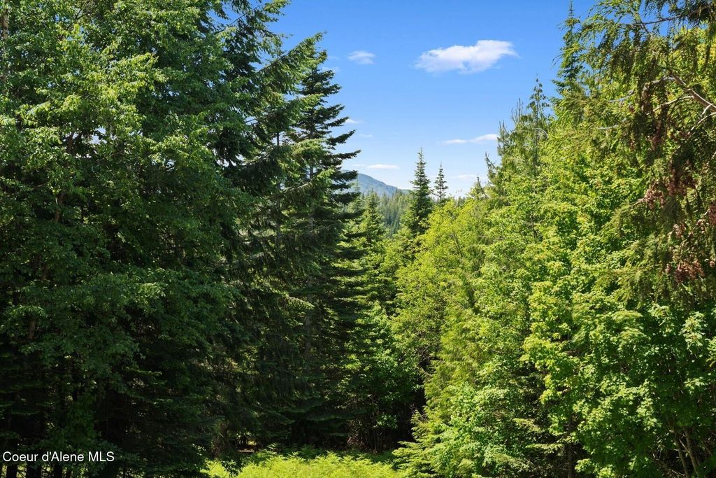 343 W Spring Creek Rd, Hope, ID 83836 photo 87