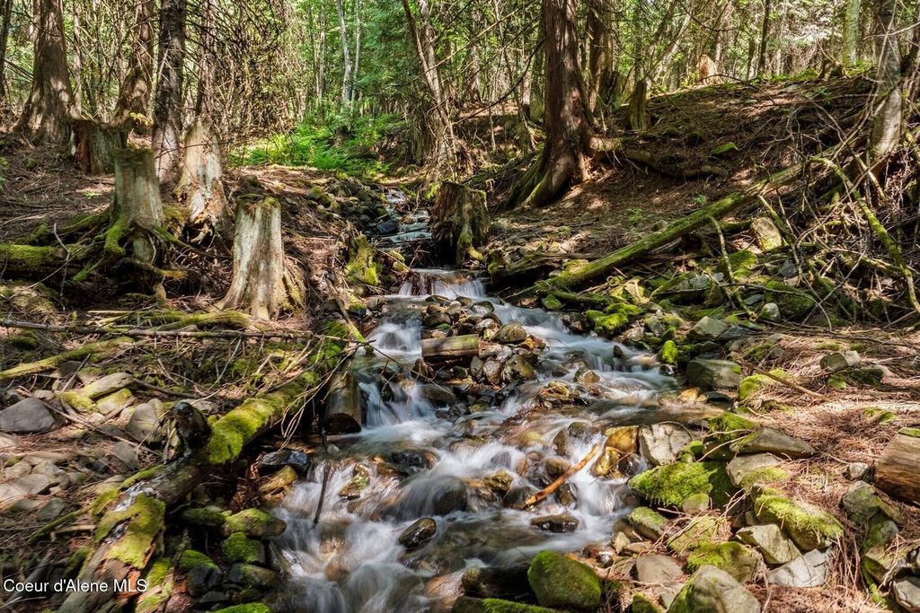 343 W Spring Creek Rd, Hope, ID 83836 photo 88