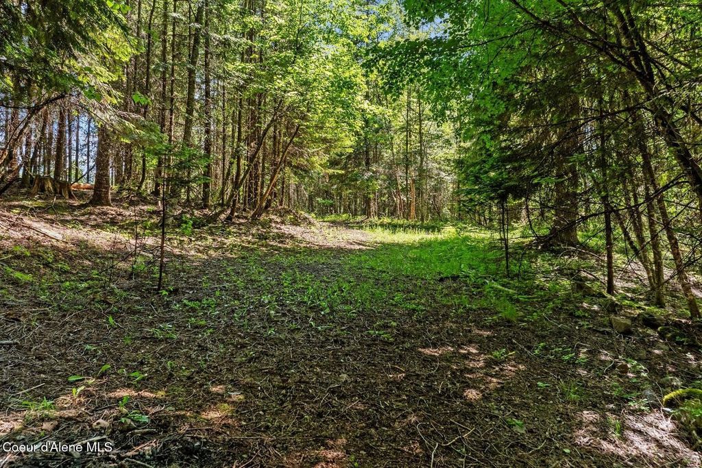 343 W Spring Creek Rd, Hope, ID 83836 photo 89