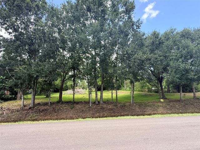 0 County Road 133, Alvin, TX 77511