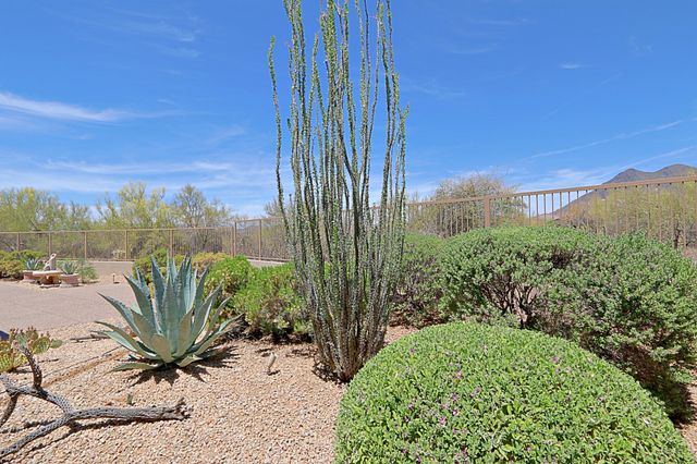 34151 N 60TH Place, Scottsdale, AZ 85266