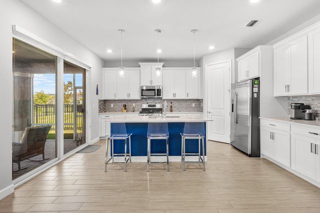 1317 Harvest View Crossing, Loxahatchee, FL 33470