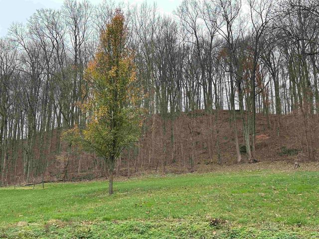 TBD WITT ROAD, Shoals, IN 47581