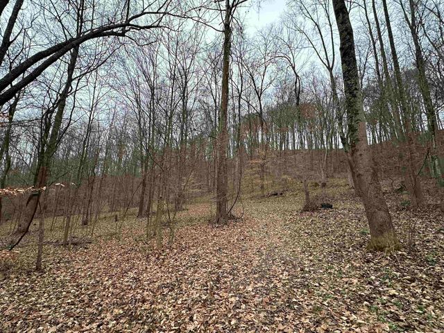 TBD WITT ROAD, Shoals, IN 47581