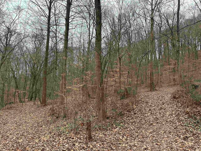 TBD WITT ROAD, Shoals, IN 47581