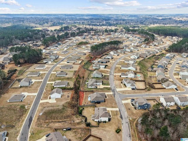 450 DOSS FERRY PARKWAY, Kimberly, AL 35091