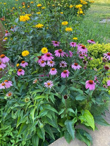 21168 Klein Road, Detroit Lakes, MN 56501