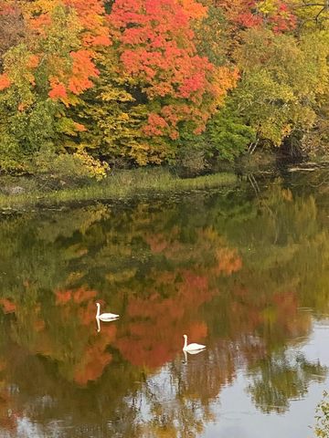 21168 Klein Road, Detroit Lakes, MN 56501