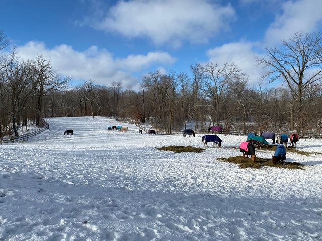 21168 Klein Road, Detroit Lakes, MN 56501