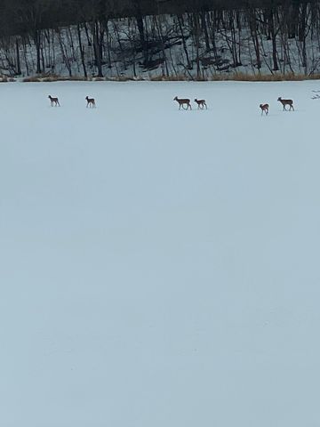 21168 Klein Road, Detroit Lakes, MN 56501