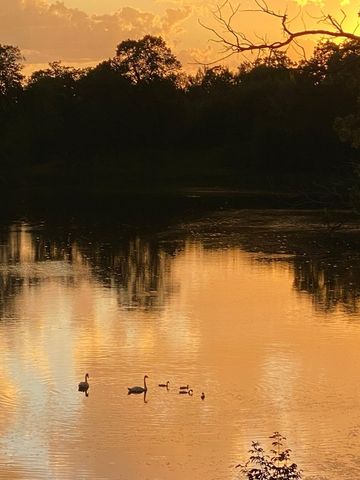 21168 Klein Road, Detroit Lakes, MN 56501