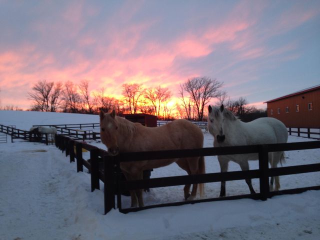 21168 Klein Road, Detroit Lakes, MN 56501