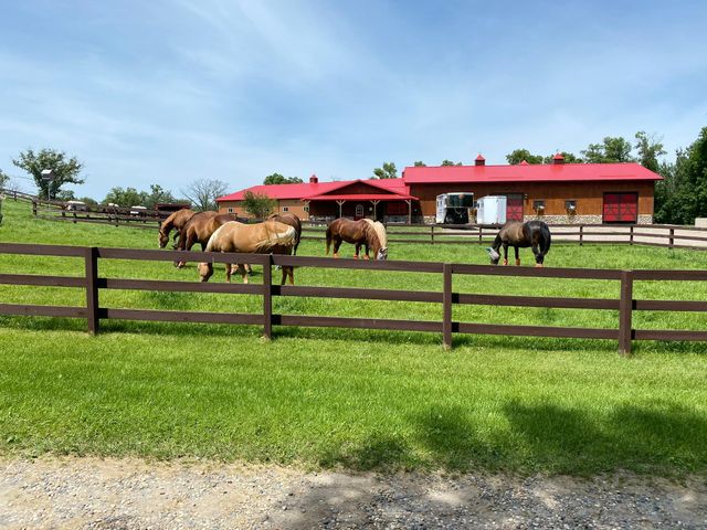 21168 Klein Road, Detroit Lakes, MN 56501