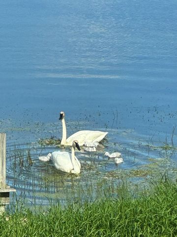 21168 Klein Road, Detroit Lakes, MN 56501