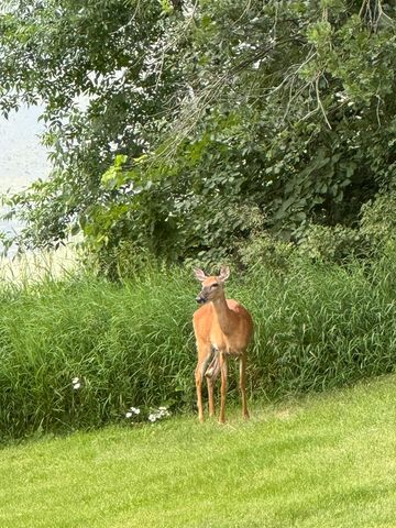 21168 Klein Road, Detroit Lakes, MN 56501