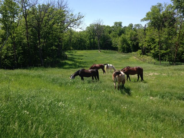 21168 Klein Road, Detroit Lakes, MN 56501