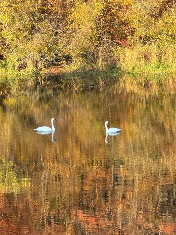 21168 Klein Road, Detroit Lakes, MN 56501