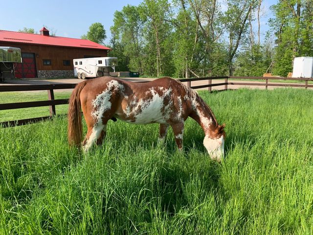 21168 Klein Road, Detroit Lakes, MN 56501