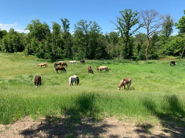 21168 Klein Road, Detroit Lakes, MN 56501