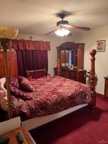 21 E Rios Cove, Roma, TX 78584