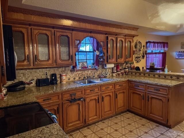 21 E Rios Cove, Roma, TX 78584