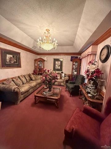 21 E Rios Cove, Roma, TX 78584