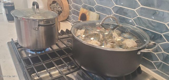 170 Catnip Point Road, Bath, NC 27808