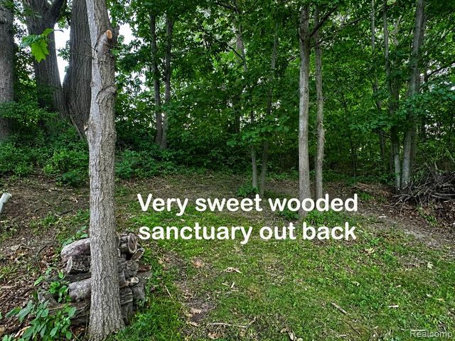 3616 Wedgewood Drive, Lapeer, MI 48446