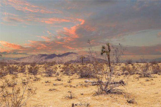 5589 Sutton, Joshua Tree, CA 92252