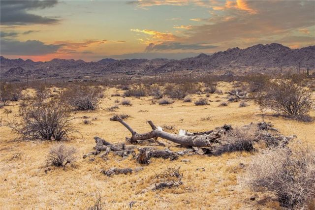 5589 Sutton, Joshua Tree, CA 92252