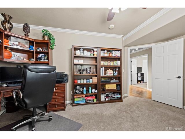 7524 Engineers Ct, Larkspur, CO 80118