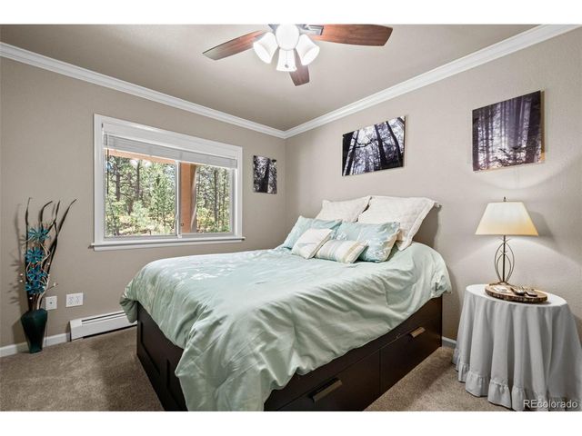 7524 Engineers Ct, Larkspur, CO 80118