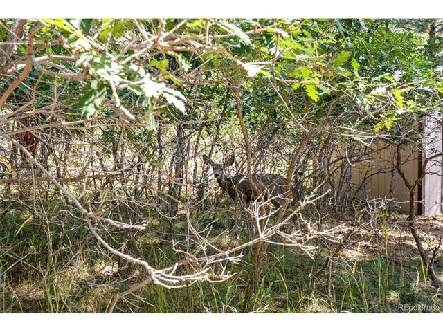 7524 Engineers Ct, Larkspur, CO 80118